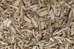 biomass boilers Newhouses